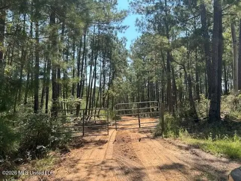 Wooded Recreational Land
