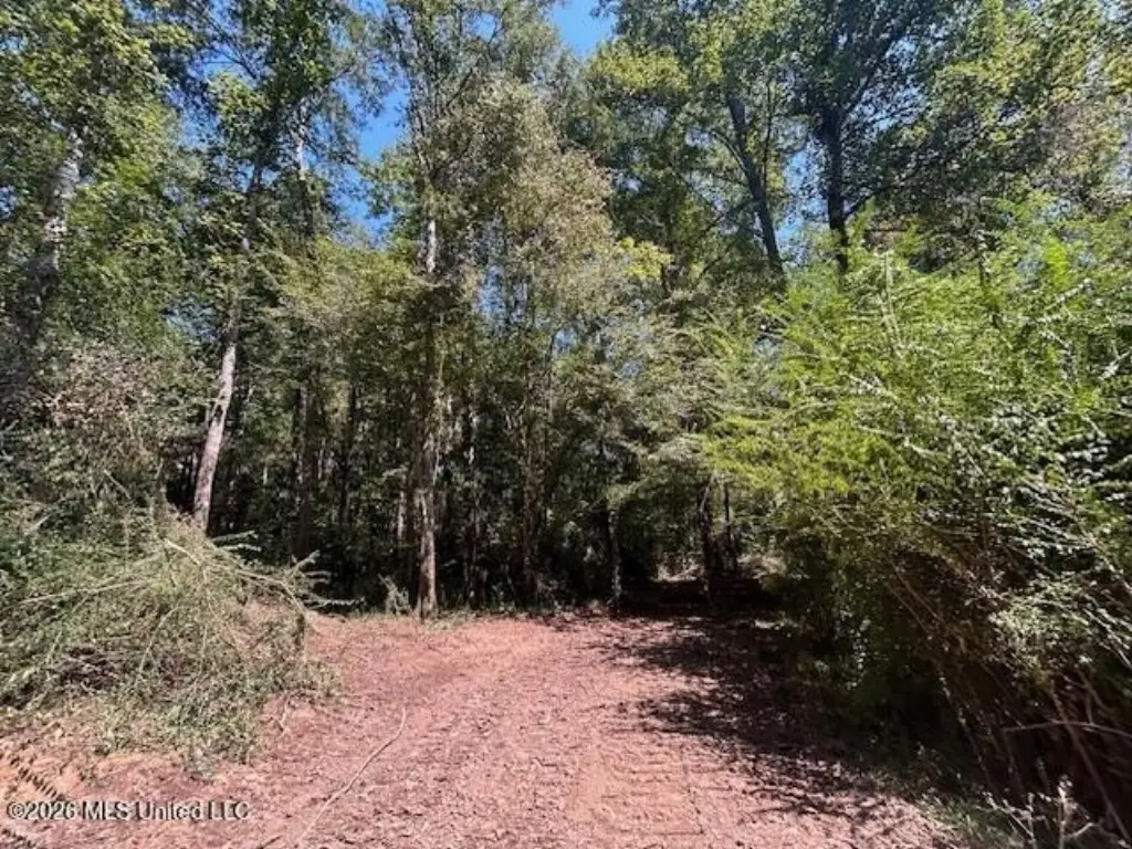 Picture 16
