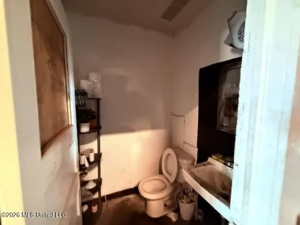 Picture 14
