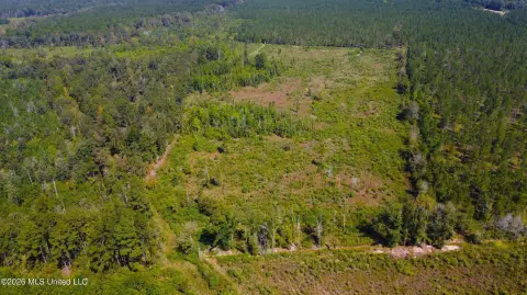 Hunting Land with Food Plots
