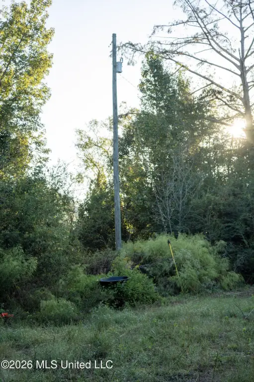 Picture 24