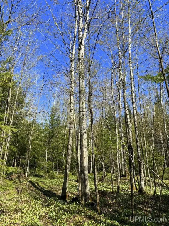 Picture 22