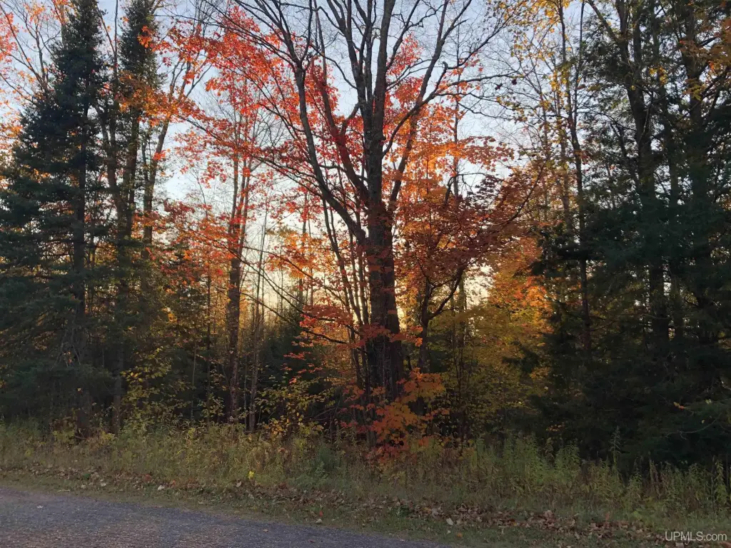 Picture 53