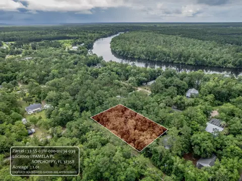 Buildable Lot Near Ochlockonee River