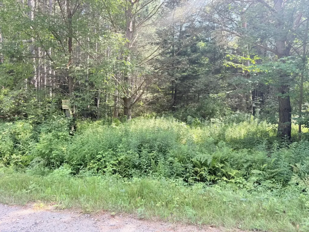 Picture 16