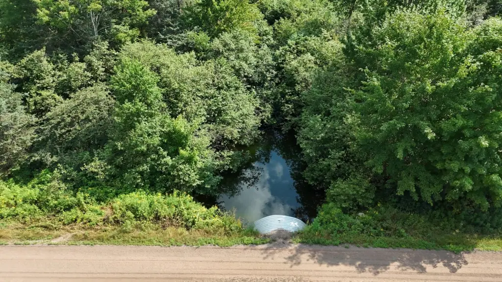 Picture 15