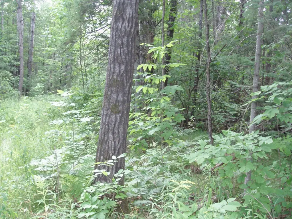 Picture 4
