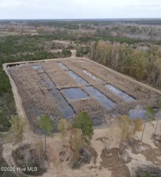 Hunting Land on Cape Fear River