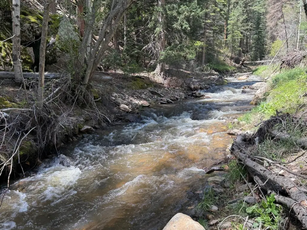 Picture 41