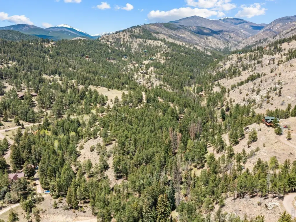 Picture 29