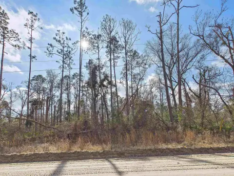 Vacant Wooded Lot Near River