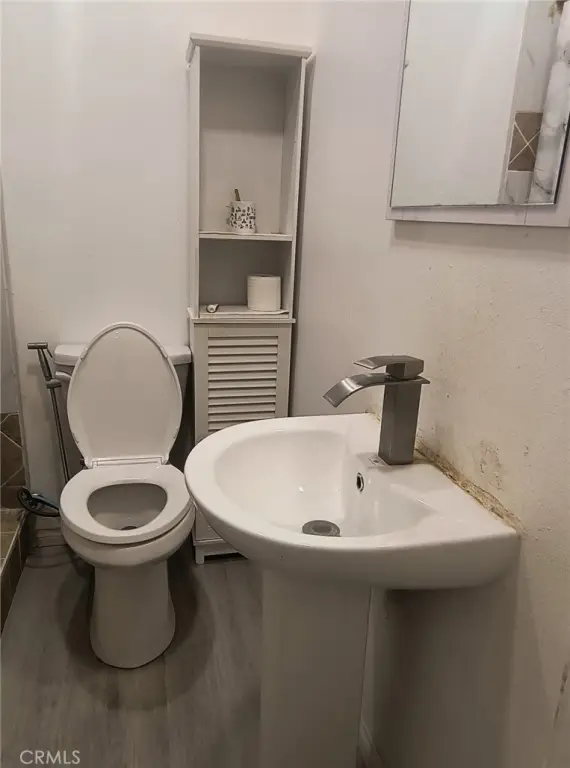 Picture 19