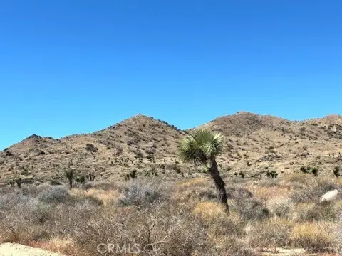 Yucca Valley Desert Land Opportunity