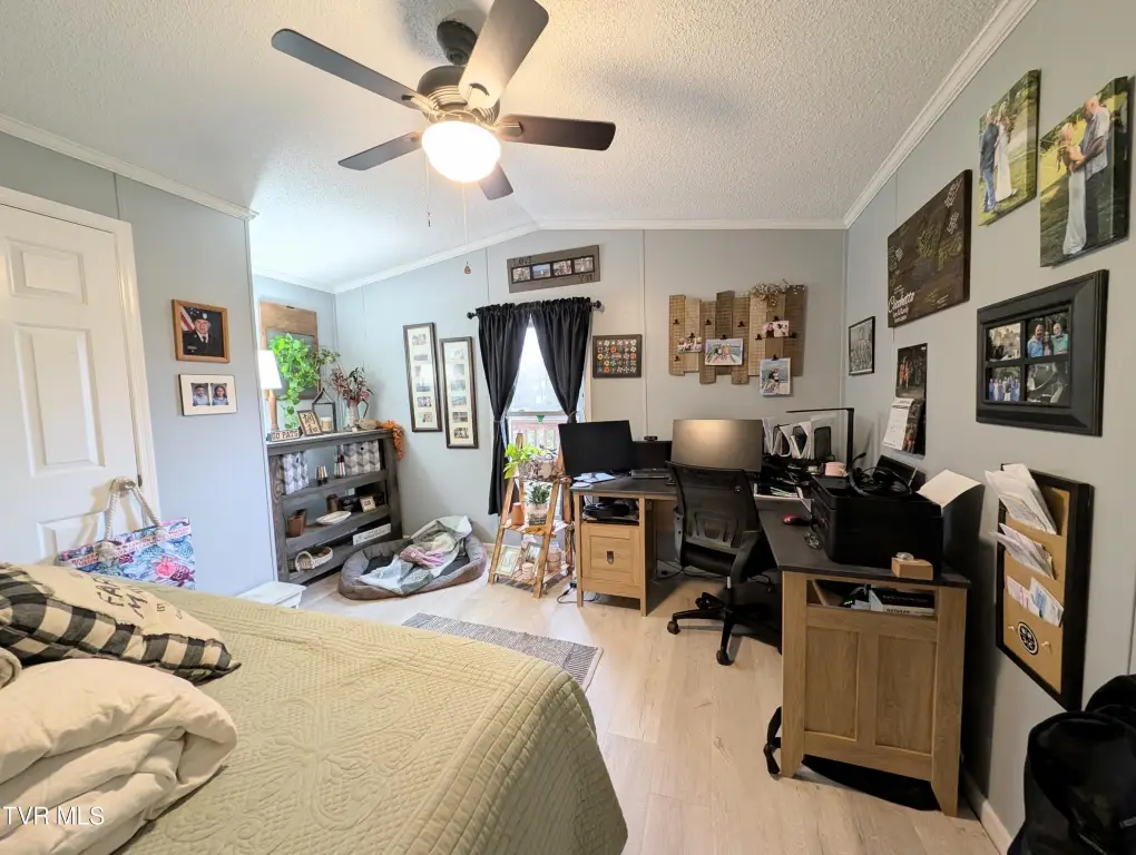 Picture 52