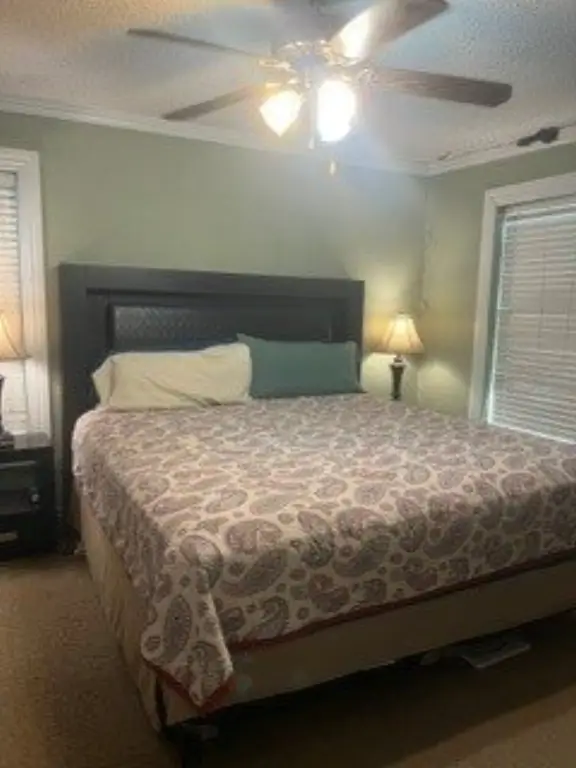 Picture 20