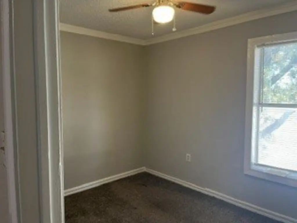Picture 7