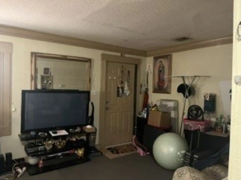 Picture 24