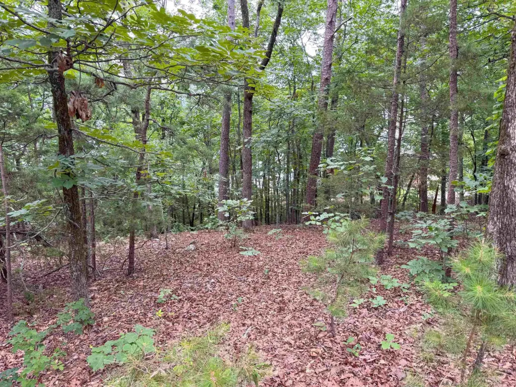Picture 19