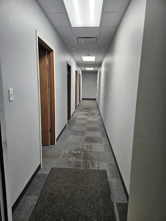 Picture 7