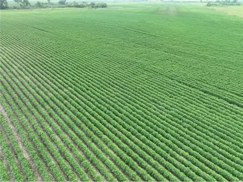 Swift County Income/Recreational Land