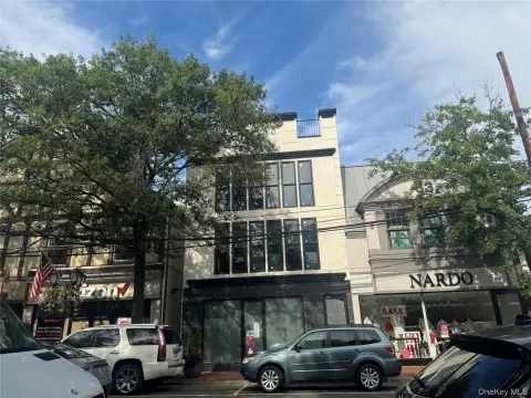 Updated Retail Space in Great Neck