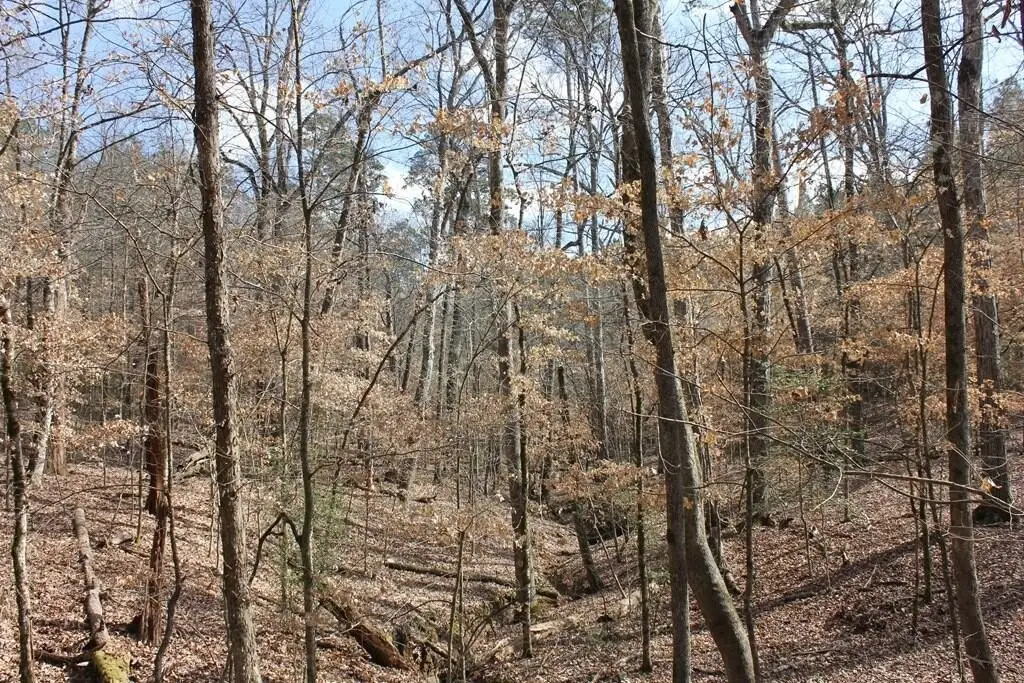 Picture 18