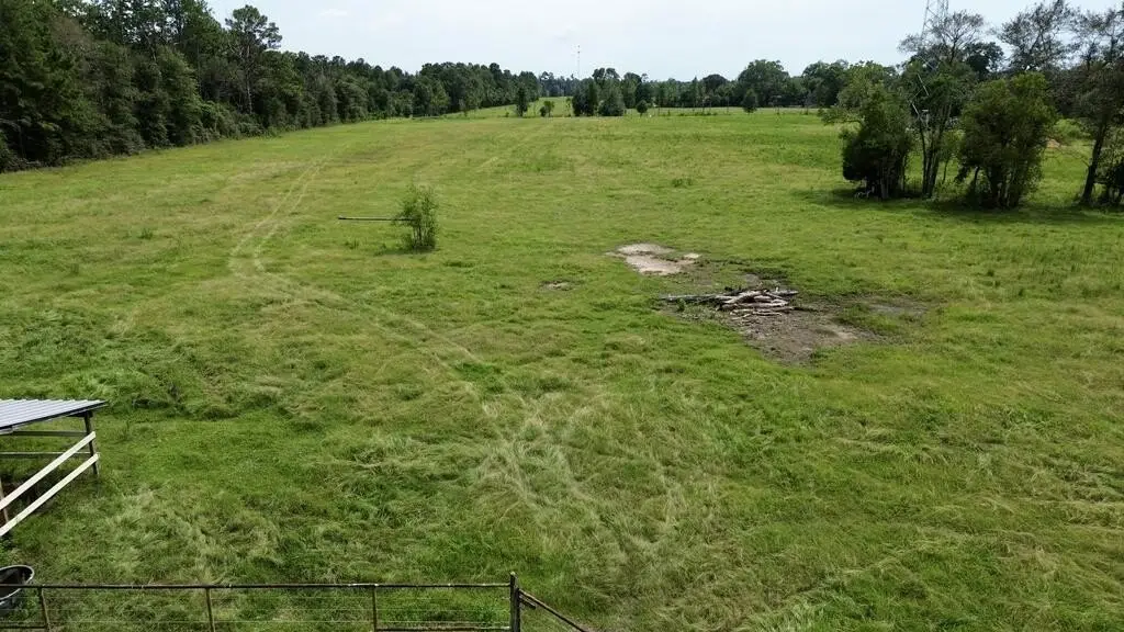 Picture 6