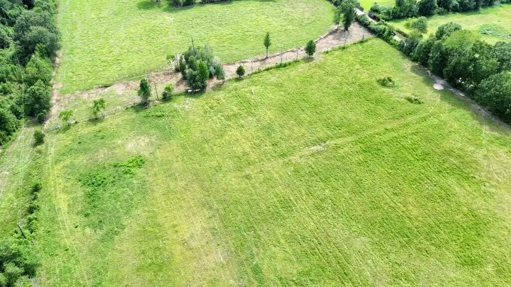 Picture 4