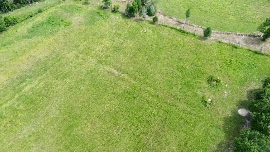 Picture 13