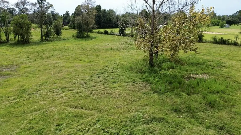 Picture 9