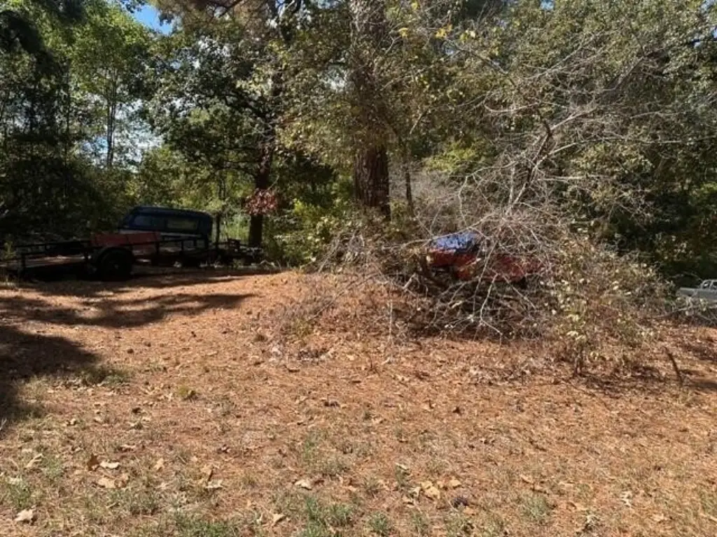 Picture 2