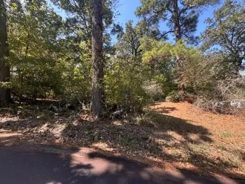 Recreational Land Near Toledo Bend