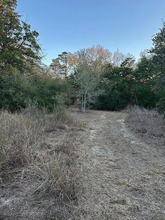 Picture 27