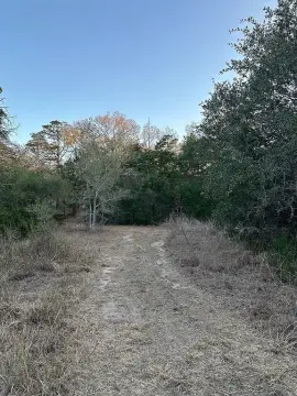 Flatonia, TX Wooded Land Tract