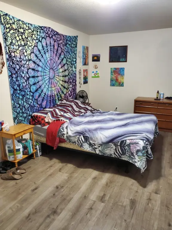 Picture 17