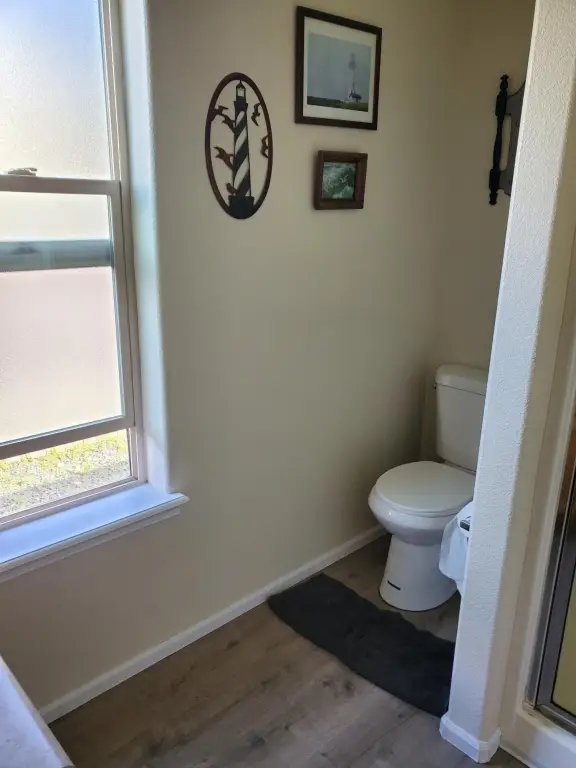 Picture 21