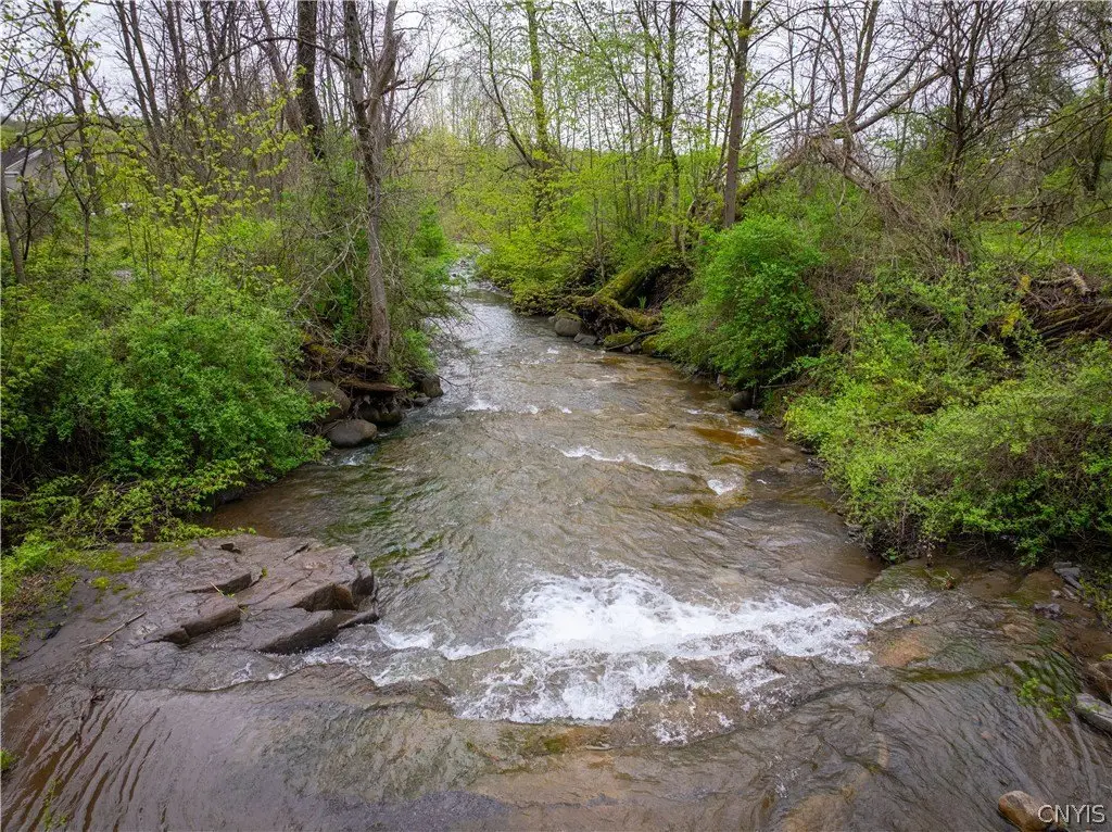Picture 25