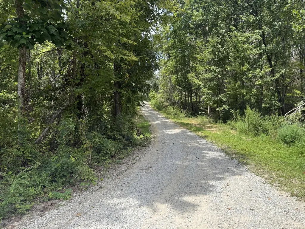 Picture 8