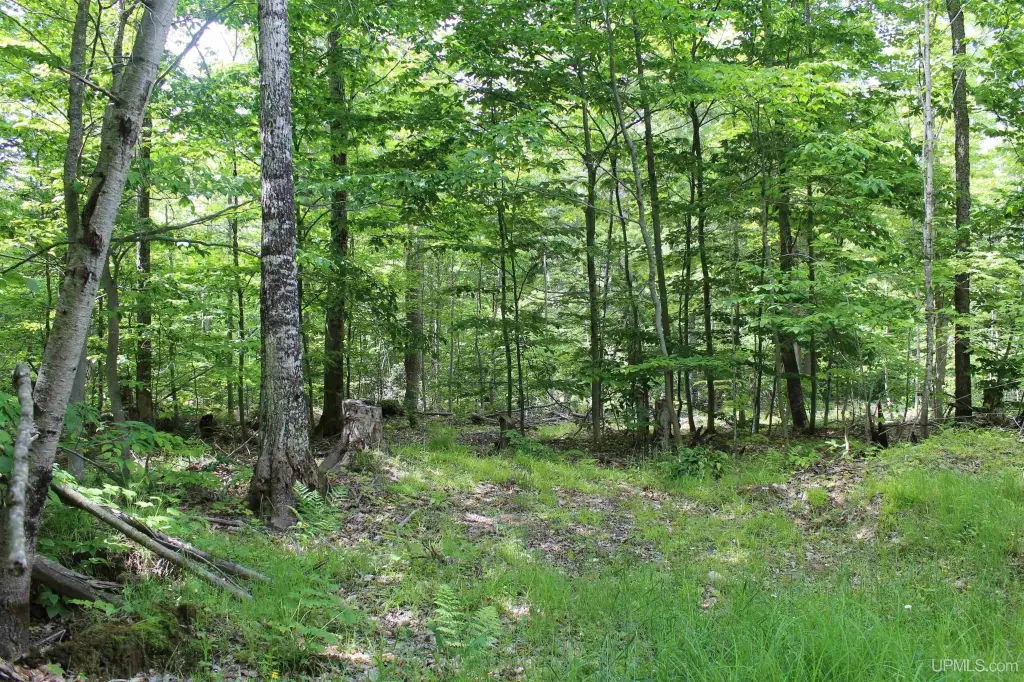 Picture 41