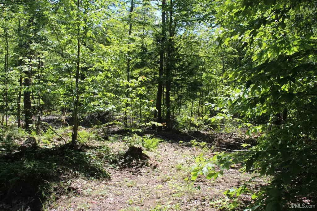 Picture 32