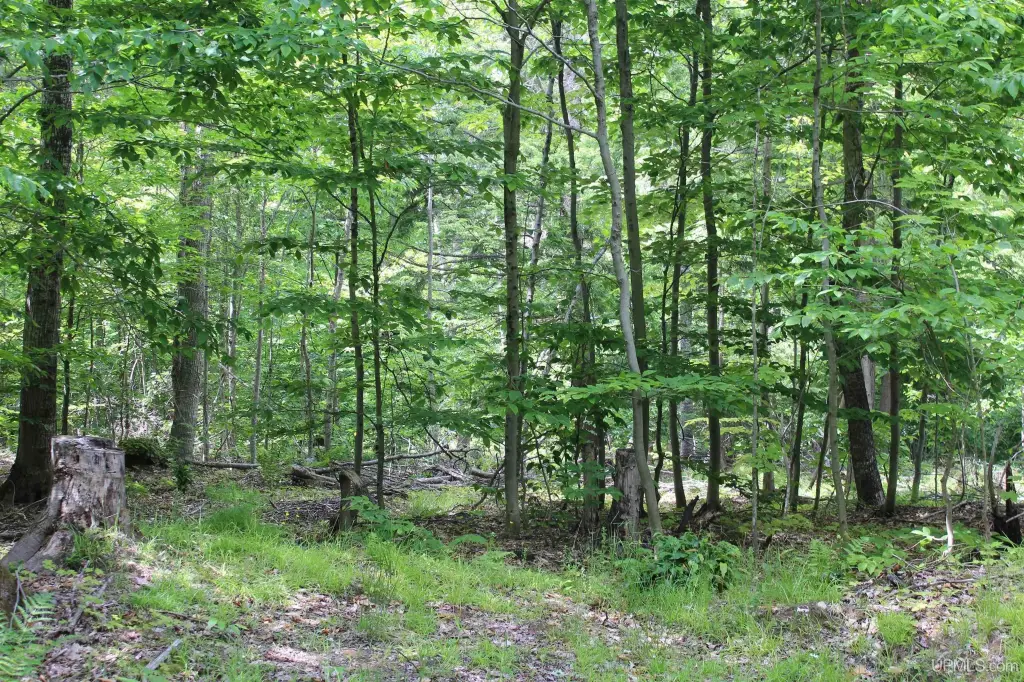Picture 42