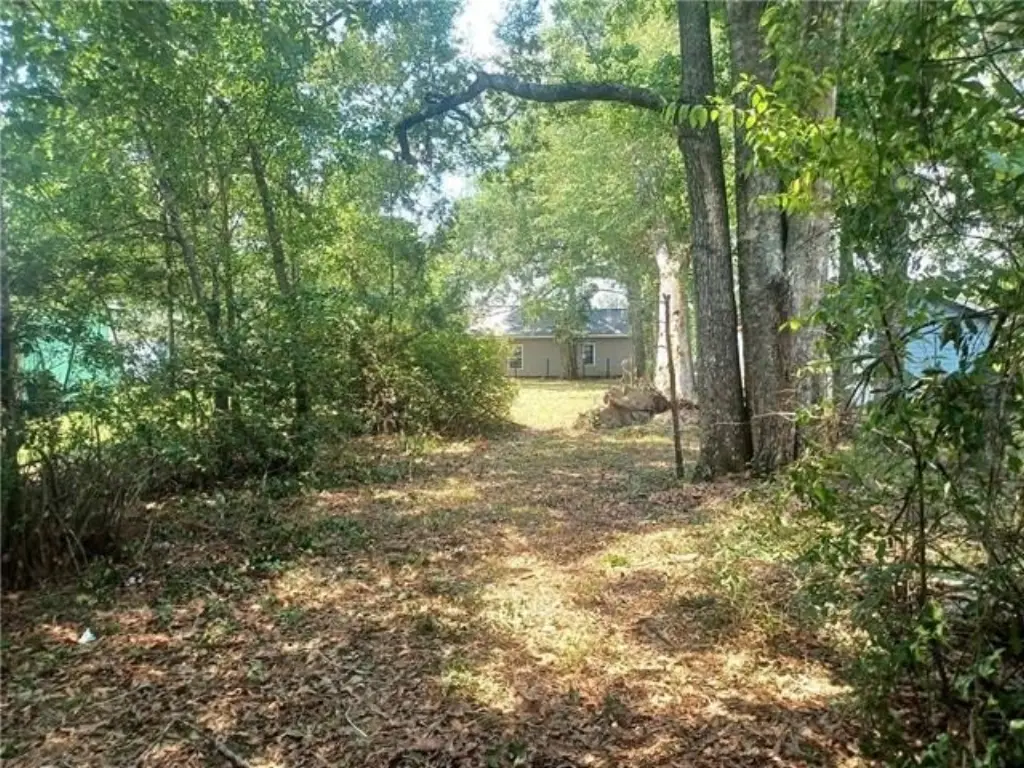 Picture 3