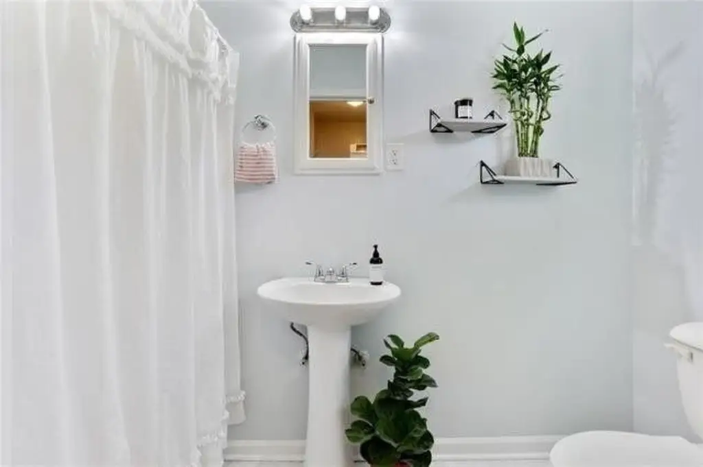 Picture 21