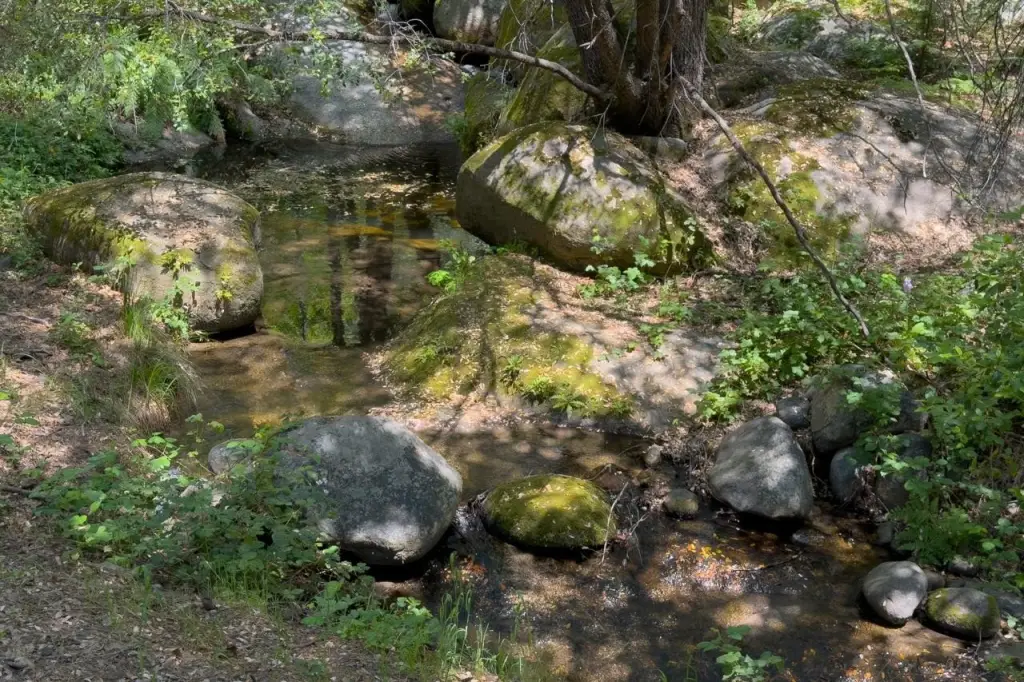 Picture 10