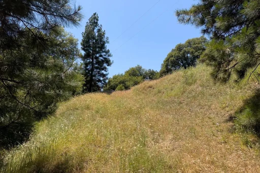 Picture 17