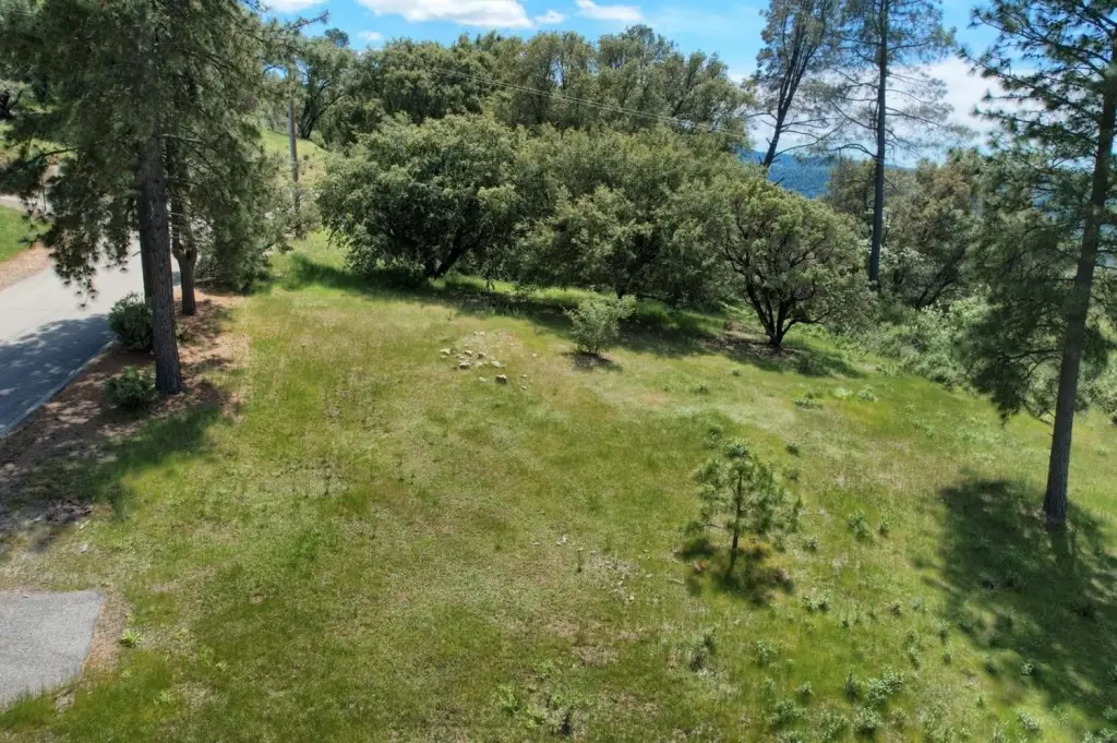 Picture 23