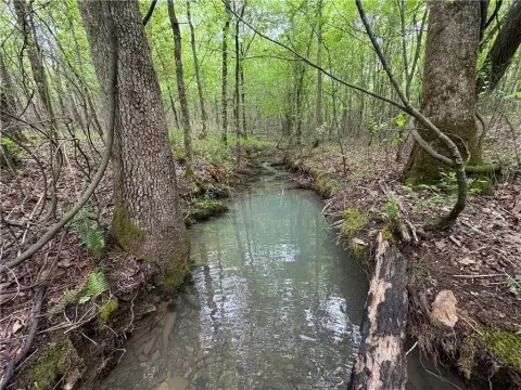 38.75 Acres Bordering Ouachita NF