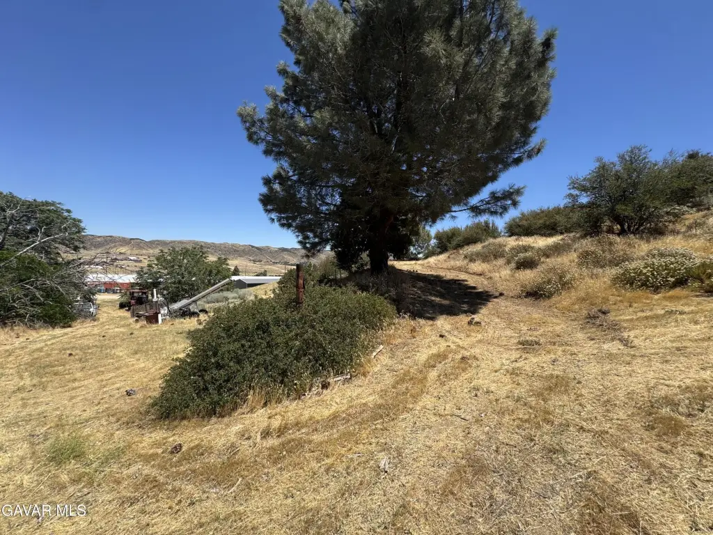 Picture 37