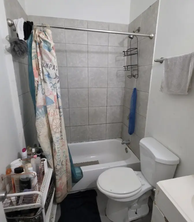 Picture 13