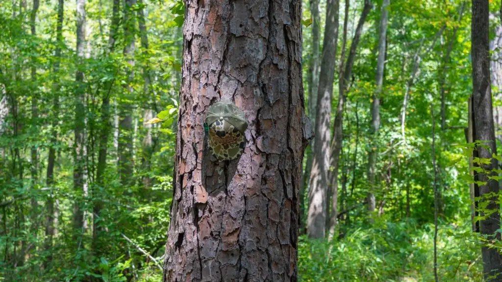 Picture 24